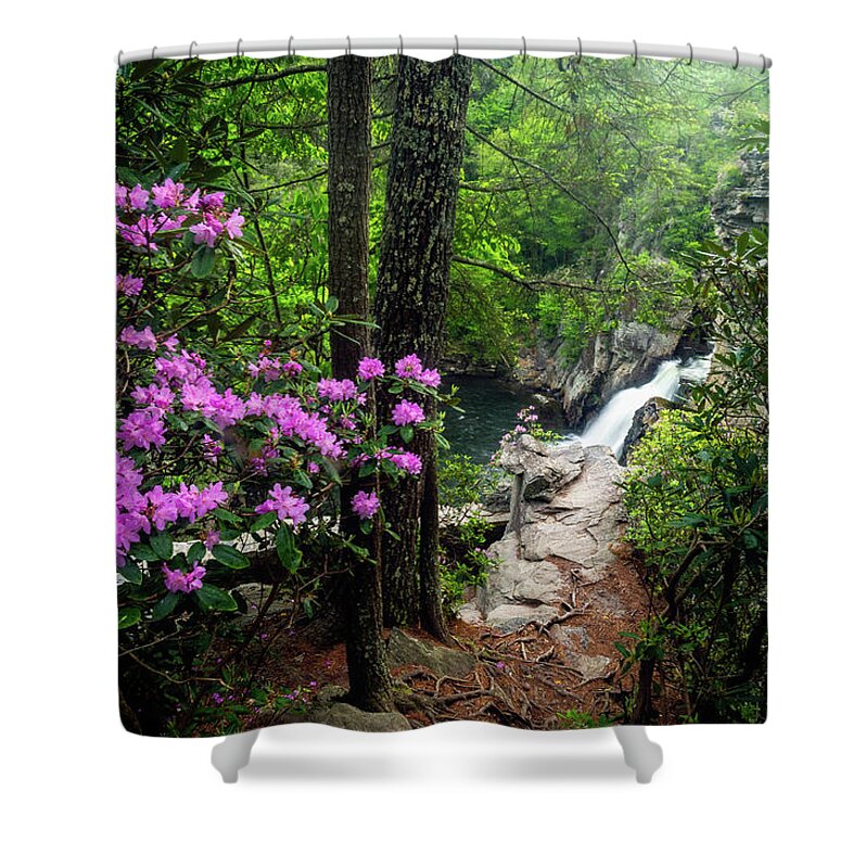 Landscape Shower Curtain featuring the photograph Blue Ridge Mountains NC Plunging Into Spring by Robert Stephens
