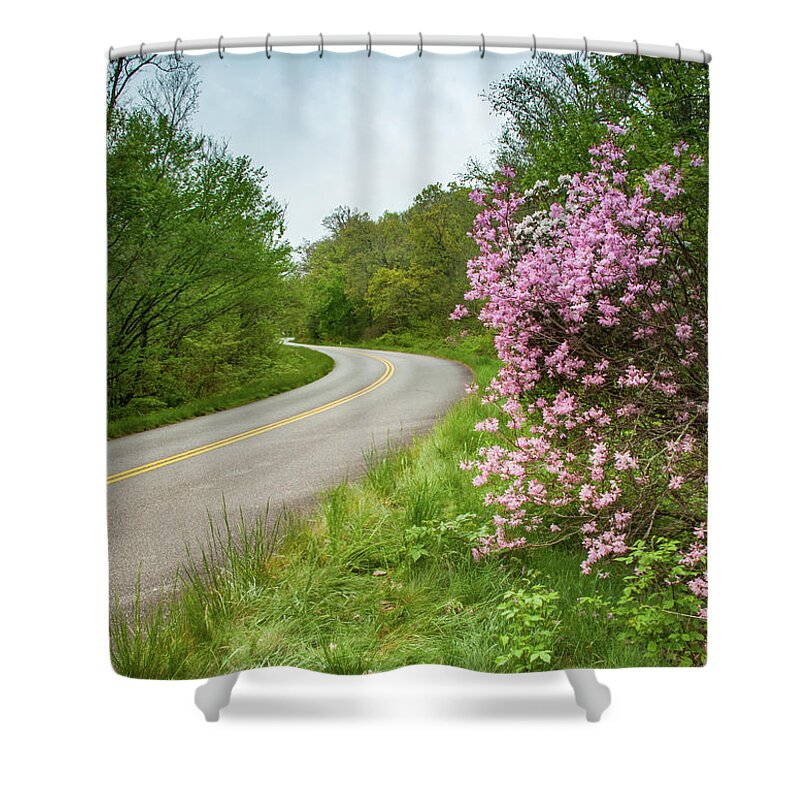 Asheville Shower Curtain featuring the photograph Blue Ridge Parkway in Bloom by Joye Ardyn Durham