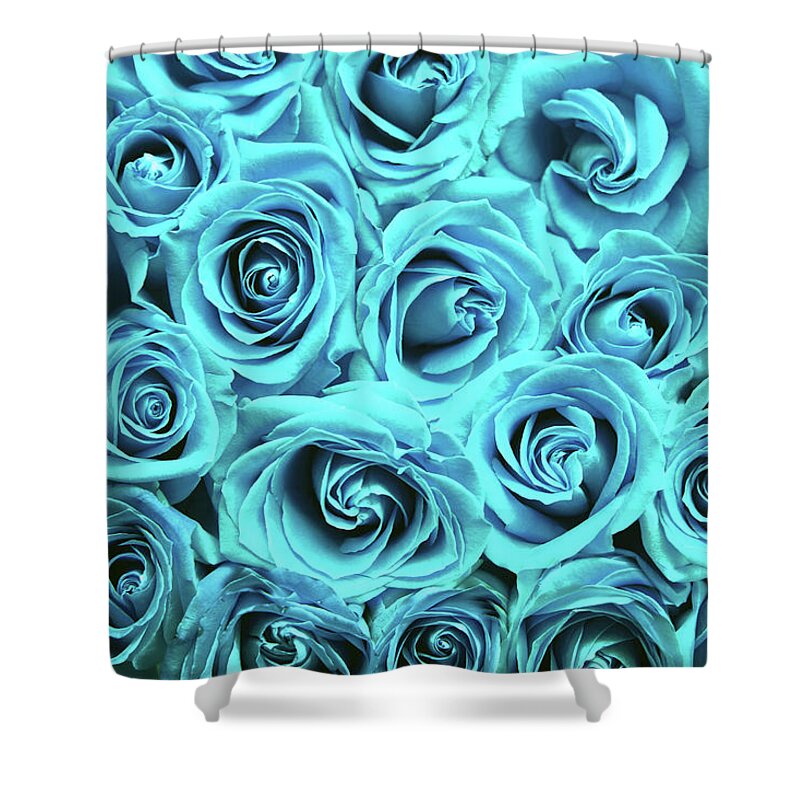 Cute Shower Curtain featuring the photograph Blue roses by Top Wallpapers