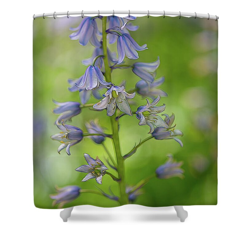 Flower Shower Curtain featuring the photograph Bluebell by Minnie Gallman