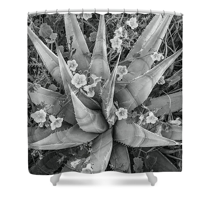 Disk1215 Shower Curtain featuring the photograph Bluebells Blossoming On Agave by Tim Fitzharris