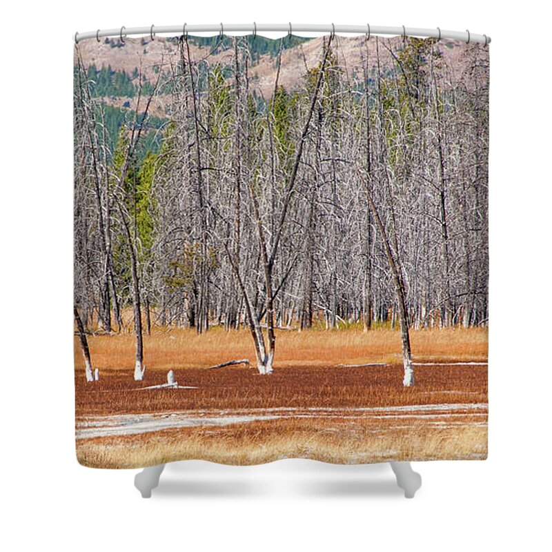 Yellowstone Shower Curtain featuring the photograph Bobby Socks Trees by Steve Stuller