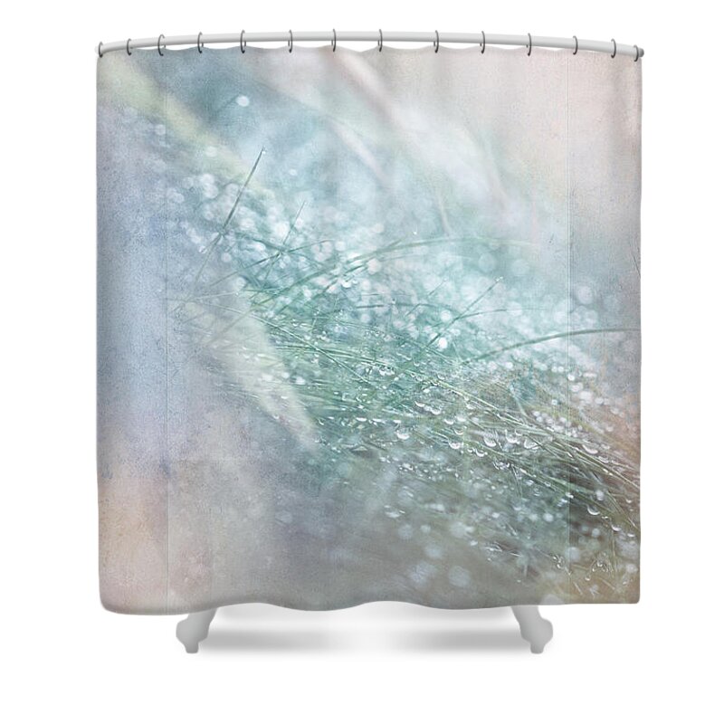 Photography Shower Curtain featuring the digital art Bokeh Droplets by Terry Davis