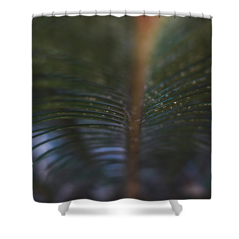 Adrian-deleon Shower Curtain featuring the photograph Bokeh Sparkles - macro by Adrian De Leon Art and Photography
