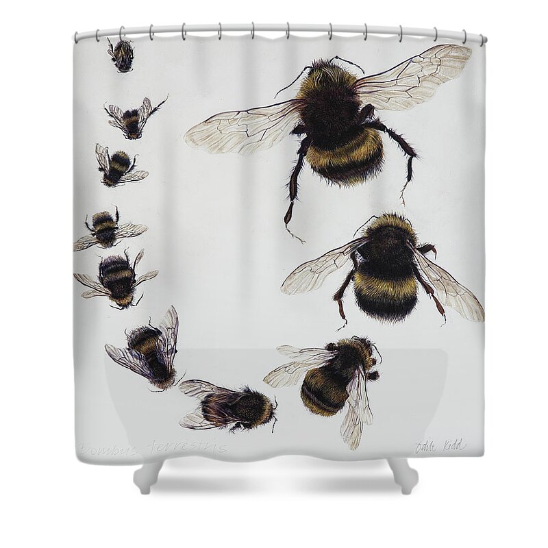 Nature Shower Curtain featuring the painting Bombus by Odile Kidd