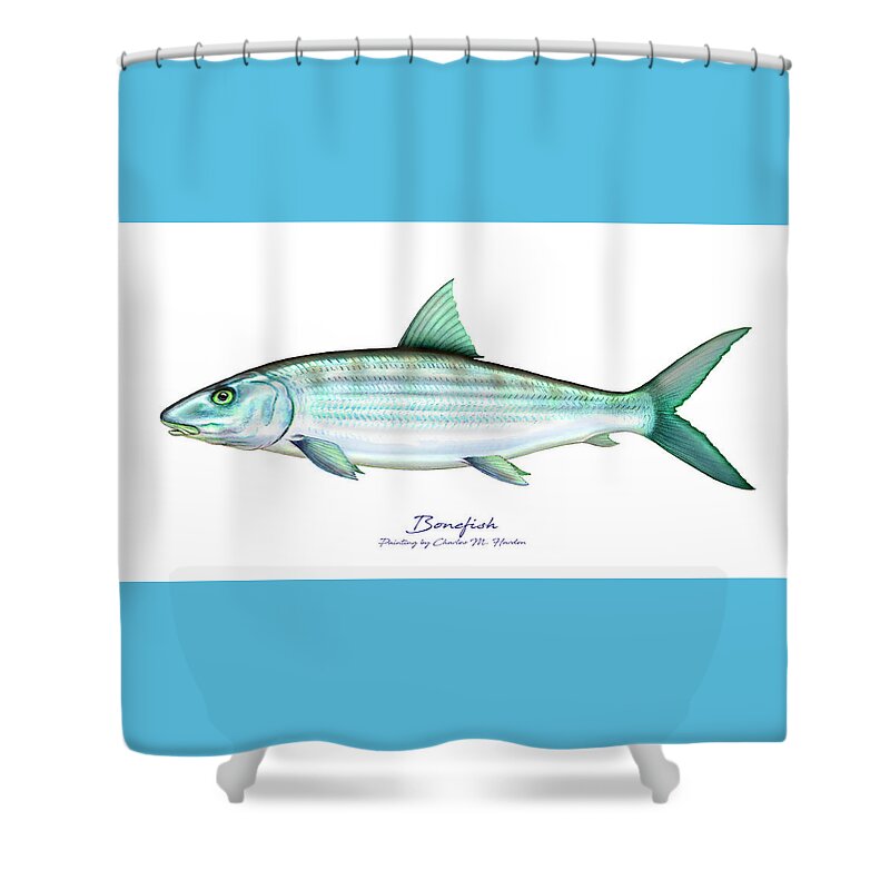 Charles Harden Shower Curtain featuring the painting Bonefish by Charles Harden