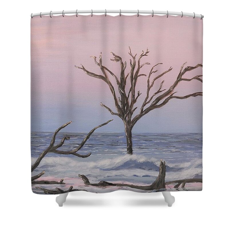 Beach Shower Curtain featuring the painting Boneyard Beach Sunrise by Deborah Smith