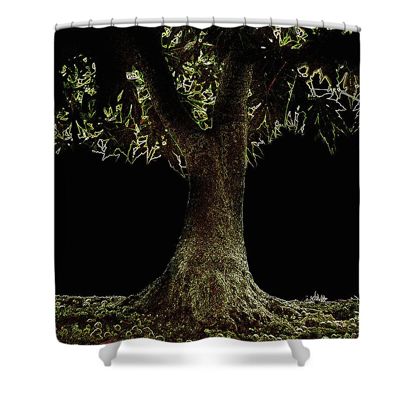 Outdoors Shower Curtain featuring the photograph Bonsai Tree With Moss At Night by Michael Duva