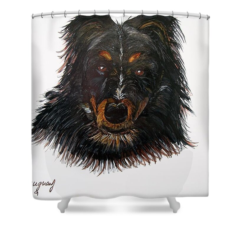 Border Shower Curtain featuring the drawing Border Collie Cross by Sharon Duguay