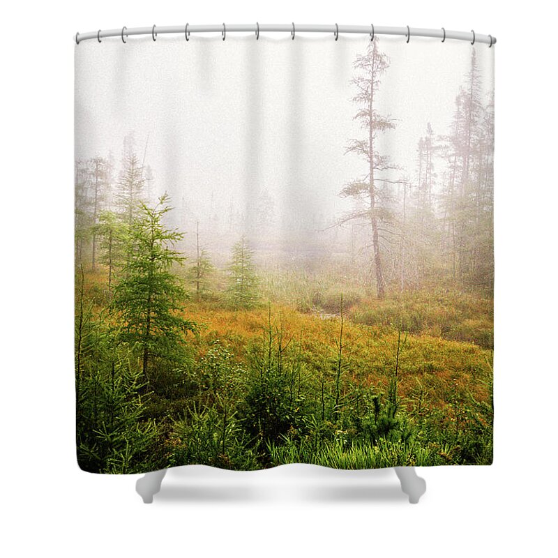 Autumn Shower Curtain featuring the photograph Boreal On County Road 7 by Cynthia Dickinson