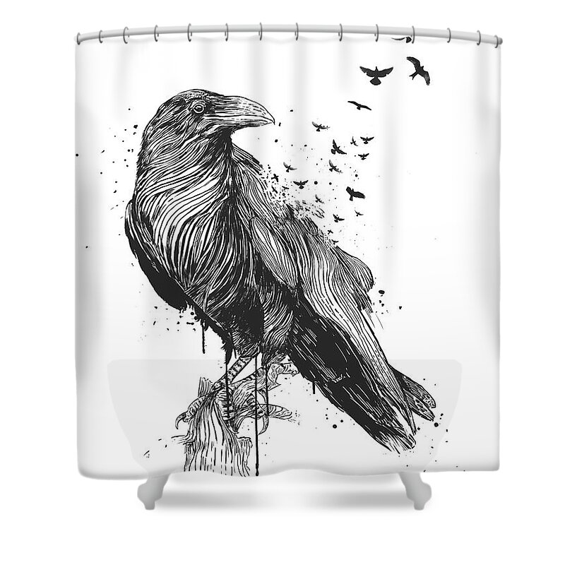 Bird Shower Curtain featuring the drawing Born to be free by Balazs Solti