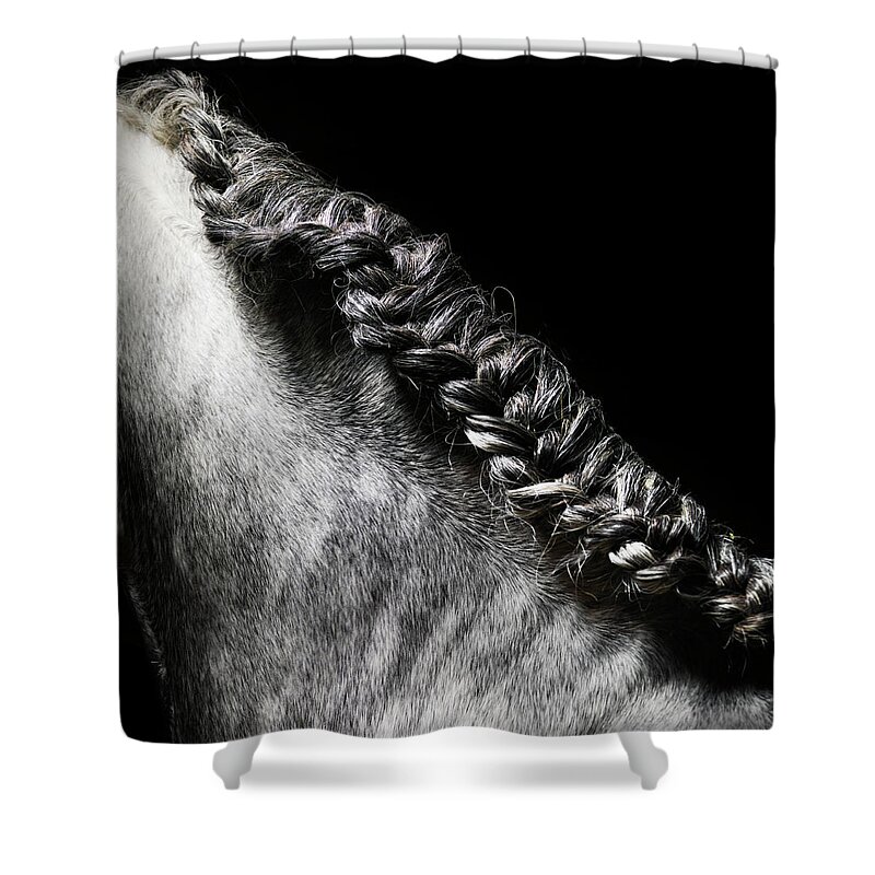 Horse Shower Curtain featuring the photograph Braided Mane Of Grey Horse by Henrik Sorensen