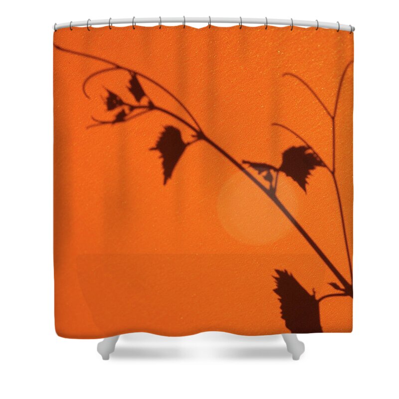 Orange Color Shower Curtain featuring the photograph Branch by Rudolf Vlcek