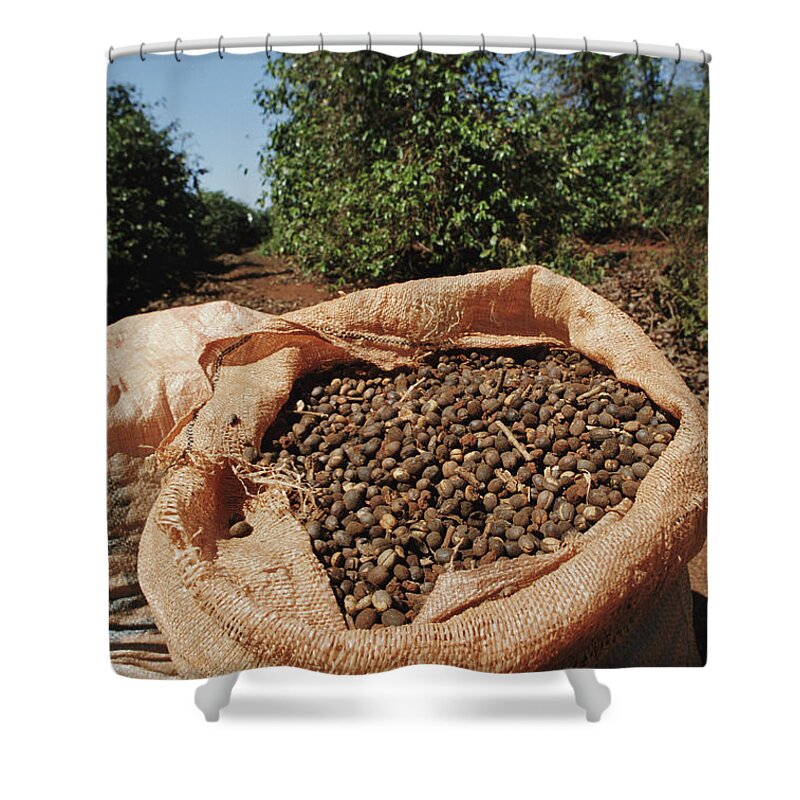 Outdoors Shower Curtain featuring the photograph Brazil, Sacks Of Coffee Beans On by Javier Pierini