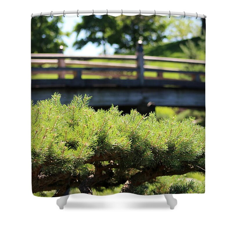 Mocha Cappuccino Shower Curtain featuring the photograph Bridge in Japanese Garden by Colleen Cornelius