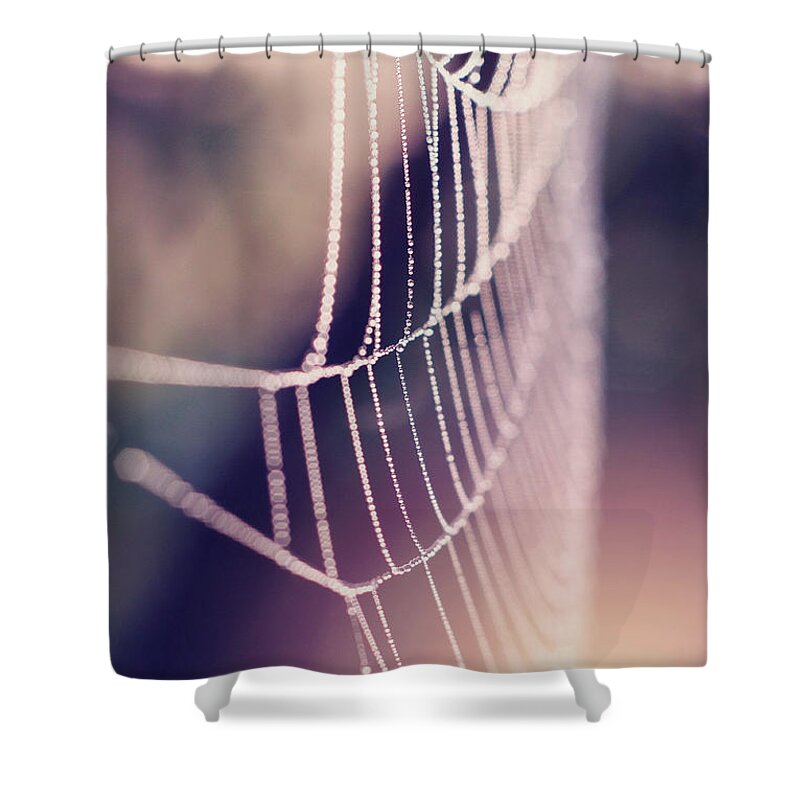 Pink Shower Curtain featuring the photograph Bright and Shiney by Michelle Wermuth
