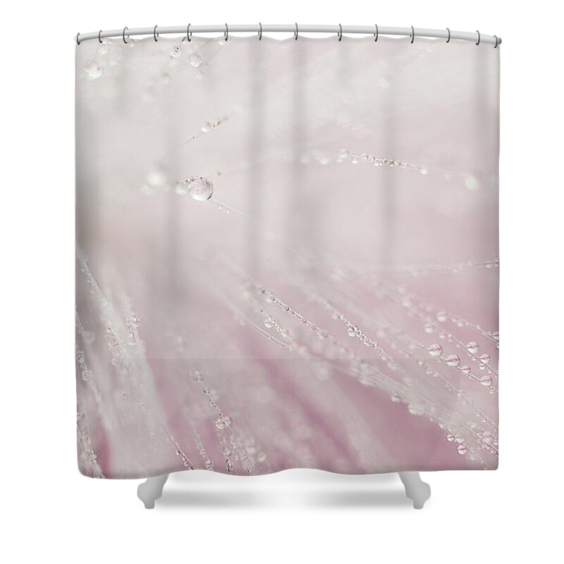 Macro Shower Curtain featuring the photograph Bright Light by Michelle Wermuth