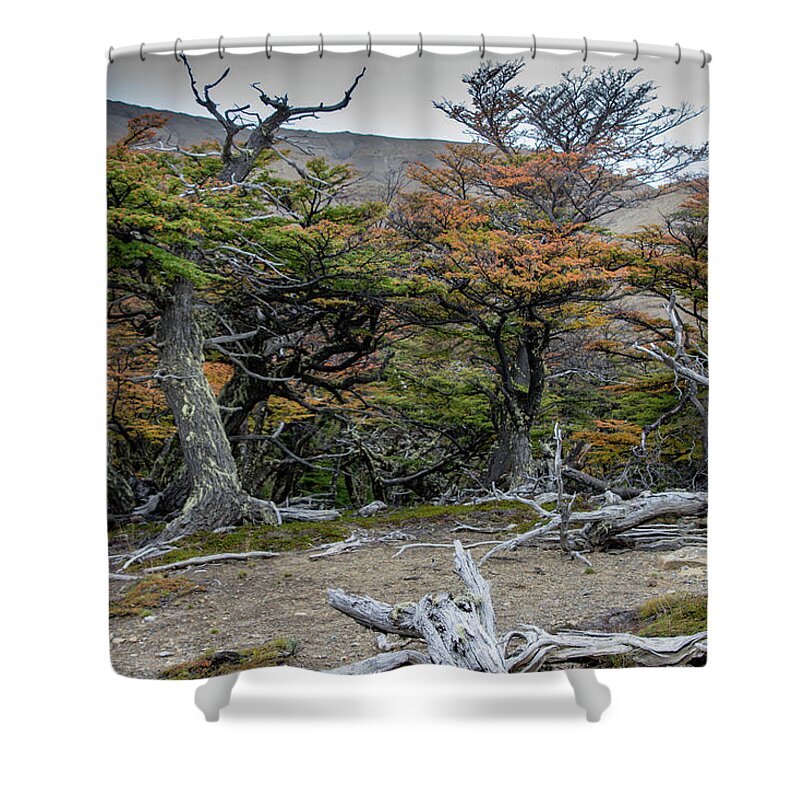 Lenga Shower Curtain featuring the photograph Broken Forest by Mark Hunter