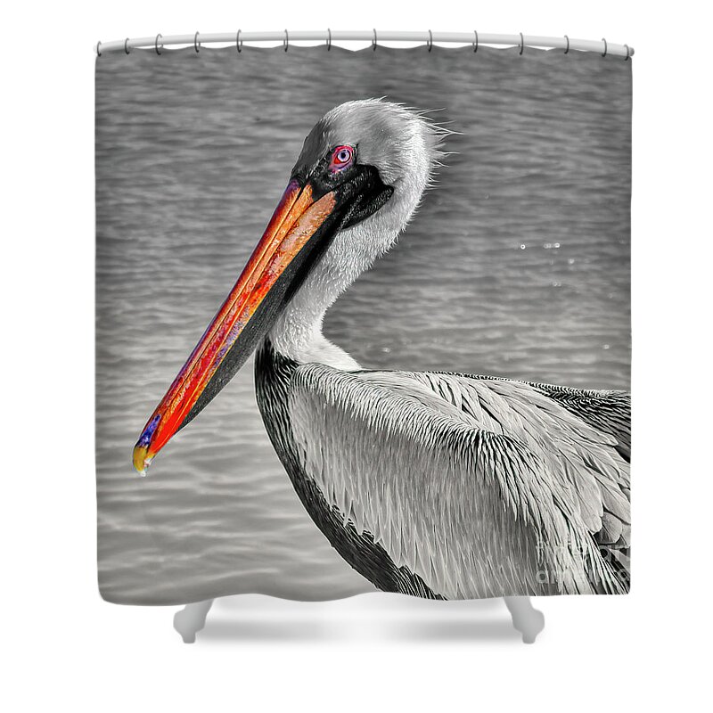 Pelican Shower Curtain featuring the photograph Brown Pelican Orange Beak by Janice Pariza
