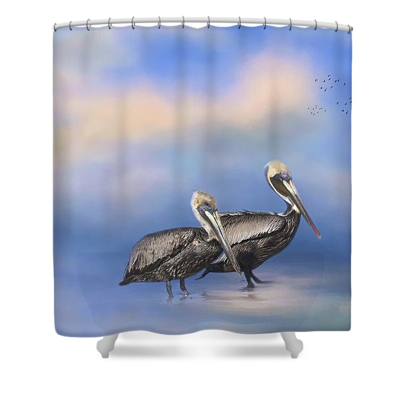 Pelican Shower Curtain featuring the photograph Brown Pelicans at the Shore by Kim Hojnacki