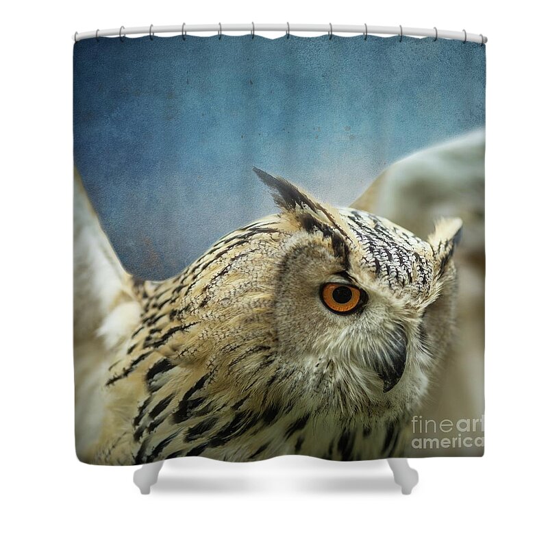 Bubo Shower Curtains