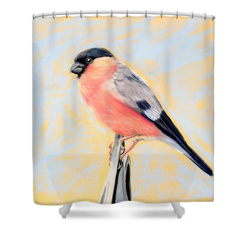 Bullfinch Shower Curtain featuring the pastel Bullfinch I by Alexis King-Glandon