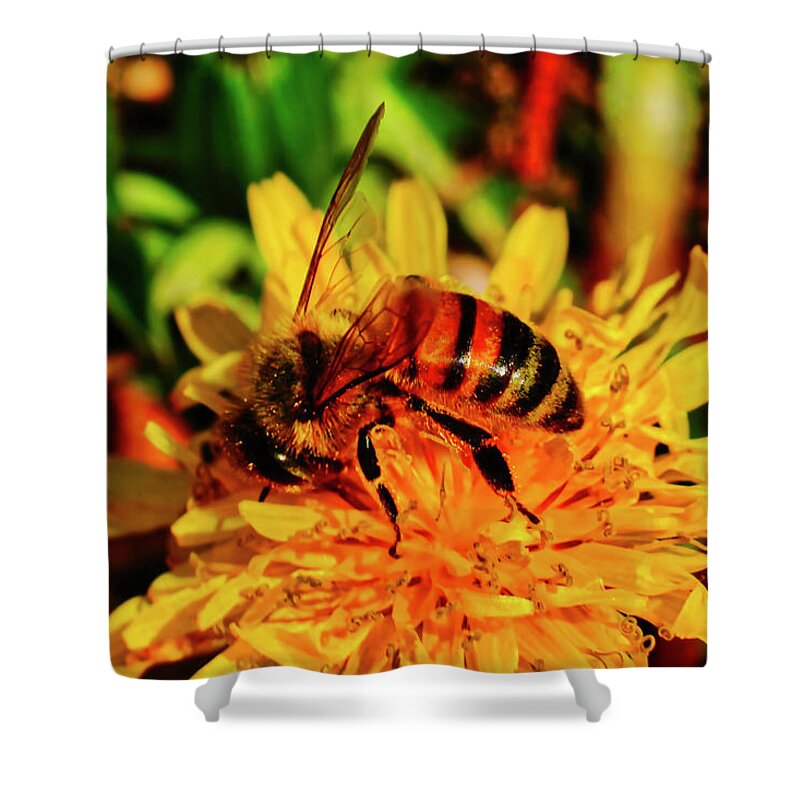 Macro Photography Shower Curtain featuring the photograph Bumble Bee On Yellow Flower by Meta Gatschenberger