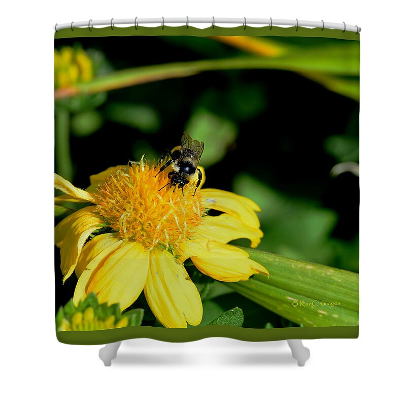 Bee Shower Curtain featuring the photograph Bumblebee at Work by Kae Cheatham