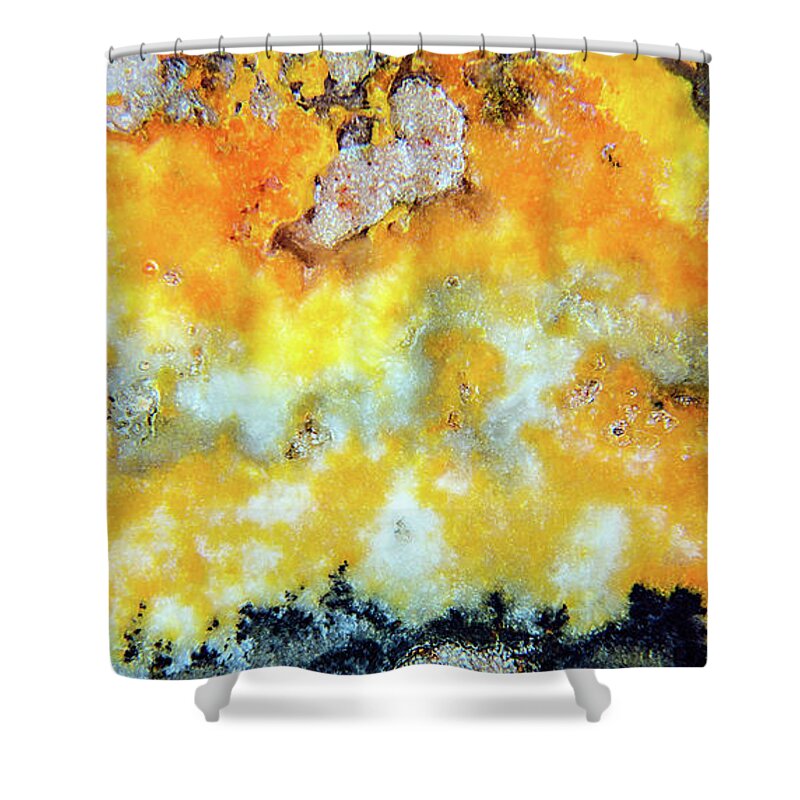 Fine Art Photography Shower Curtain featuring the photograph Bumblebee Jasper by John Strong