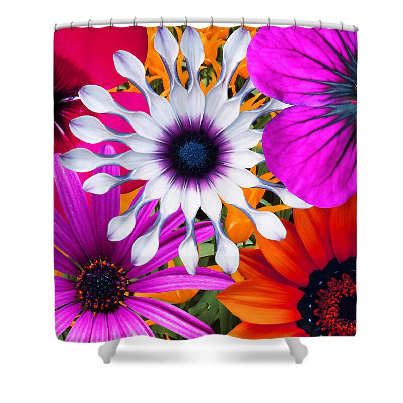 Bunch Of Flowers Shower Curtain featuring the photograph Bunch Of Multi Colored Flowers, Full by John Foxx