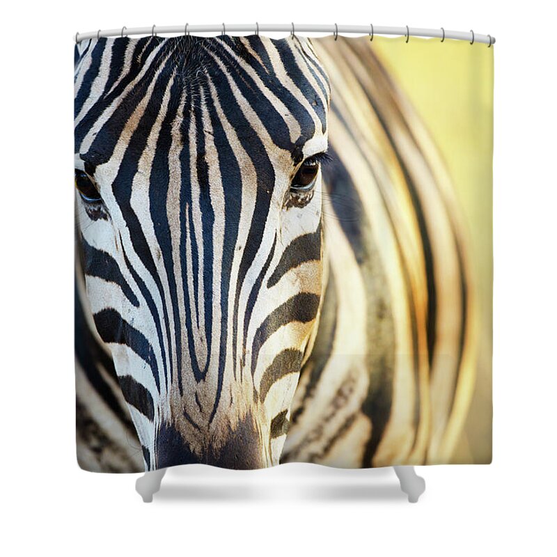 Plains Zebra Shower Curtain featuring the photograph Burchells Zebra Face - South Africa by Birdimages