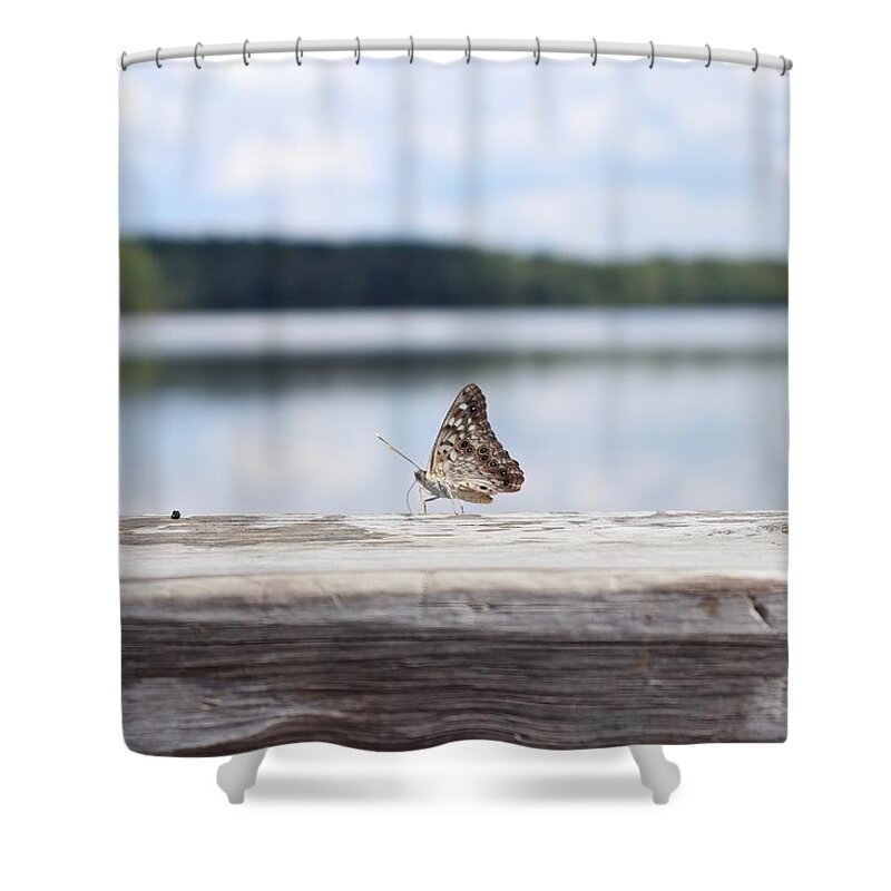 Outside Shower Curtain featuring the photograph Butterfly on Railing by Steven Gordon
