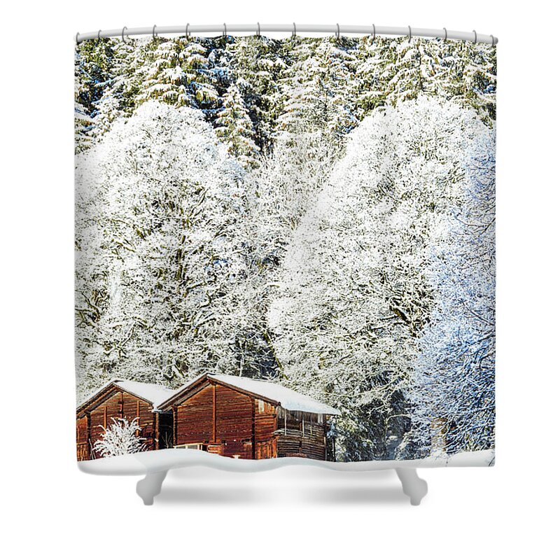 Estock Shower Curtain featuring the digital art Cabin With Snow Covered Trees by Francesco Bergamaschi