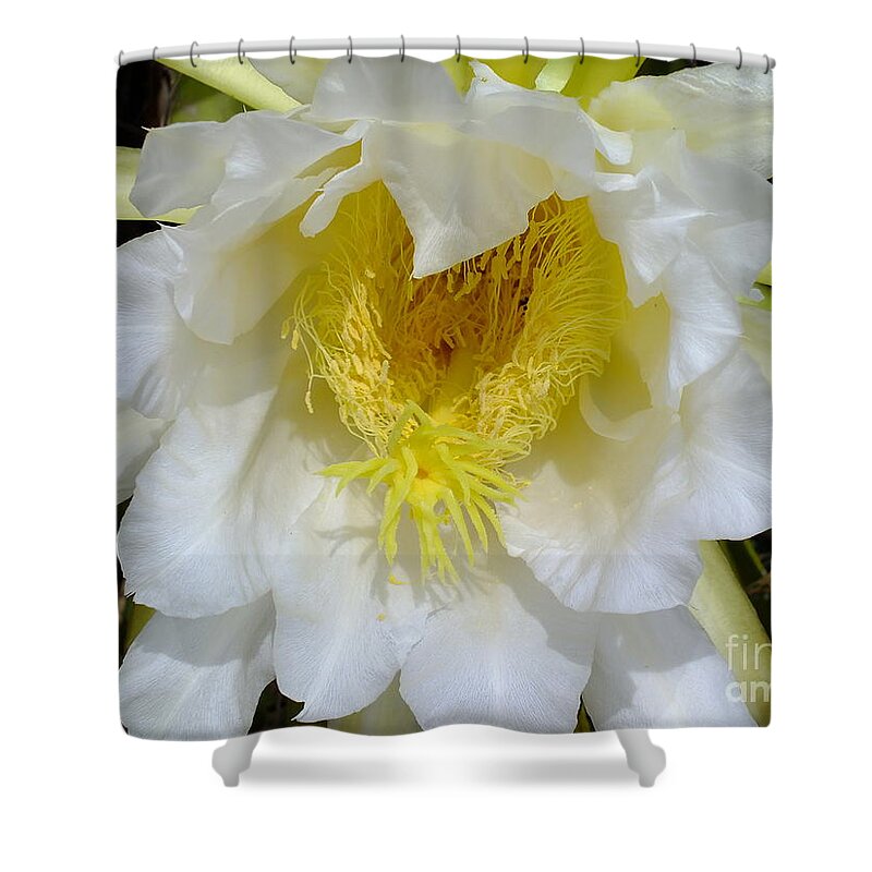 Cactus Shower Curtain featuring the digital art Cactus smile by Yenni Harrison