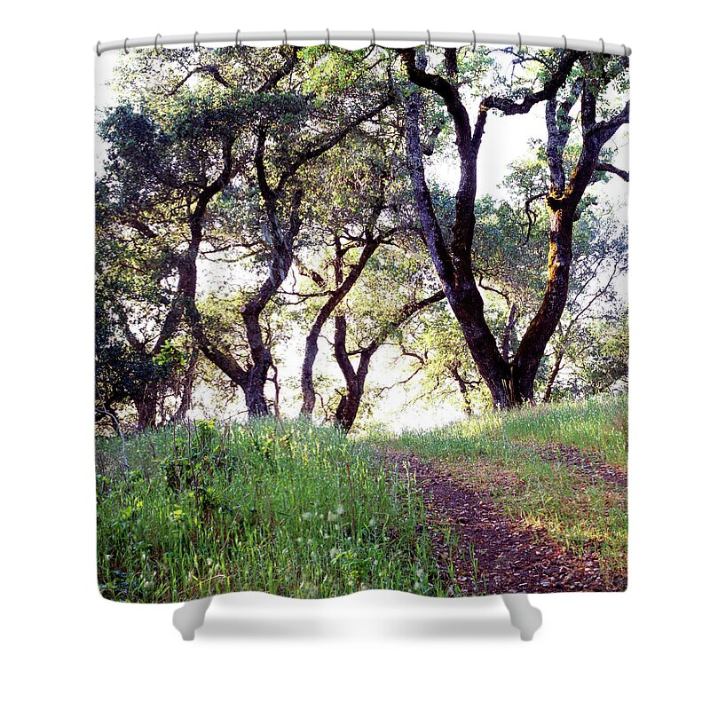 Scenics Shower Curtain featuring the photograph California Oak Trees by Richard Felber