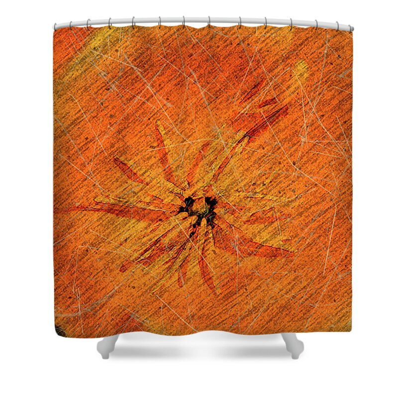 California Shower Curtain featuring the photograph California Poppy Grunge by Roslyn Wilkins