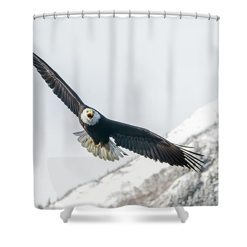 Bif Shower Curtain featuring the photograph Call of the Wild North by James Capo