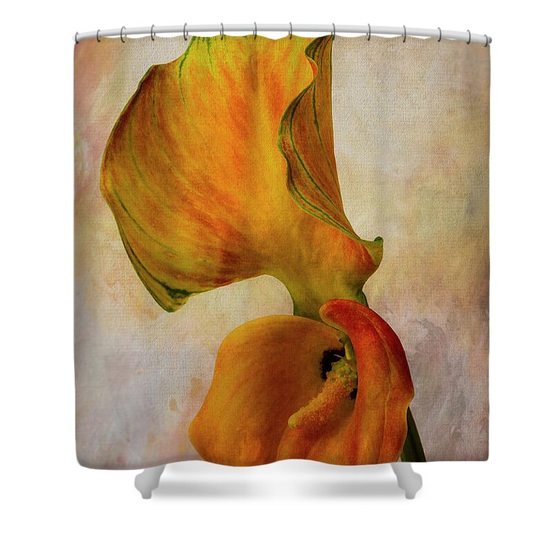 White Shower Curtain featuring the photograph Calla Lily And Its Leaf by Garry Gay