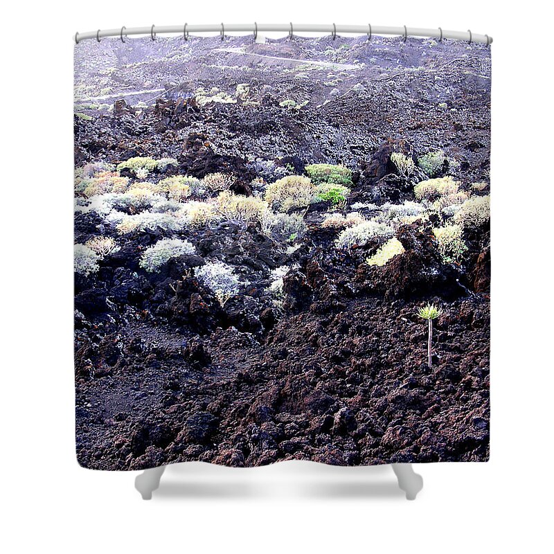 Canary Islands Shower Curtain featuring the photograph Canard Islands by Jean Wolfrum