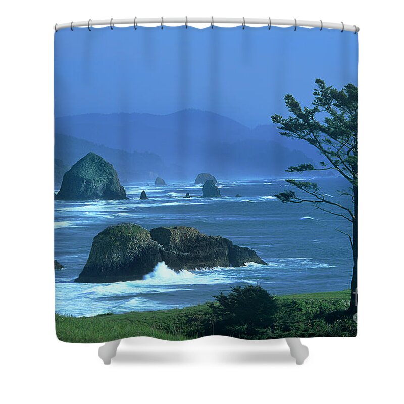 Dave Weling Shower Curtain featuring the photograph Cannon Beach And Haystack Rock Ecola State Beach Oregon by Dave Welling