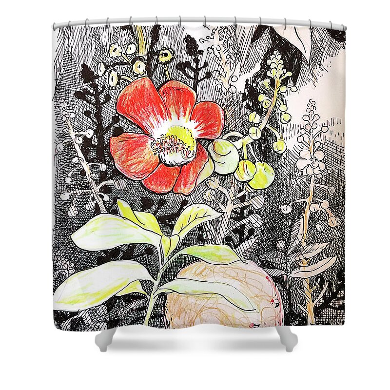 Botanical Shower Curtain featuring the drawing Cannonball flower botanical by Tilly Strauss