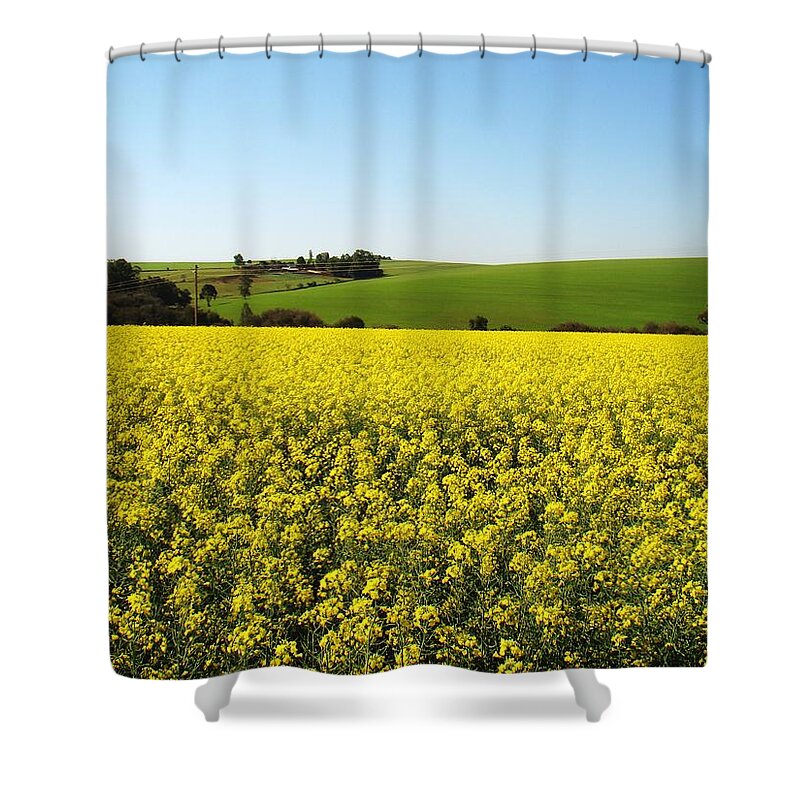 Scenics Shower Curtain featuring the photograph Canola Field by Débora Faoro