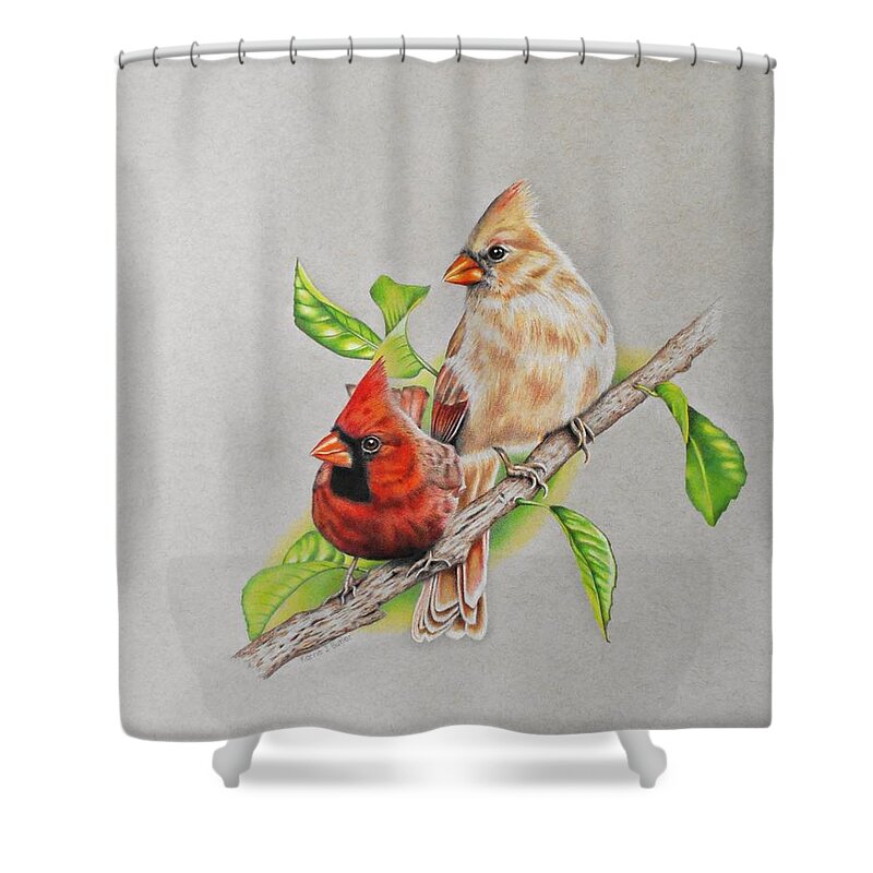 Cardinal Shower Curtain featuring the drawing Cardinal Pair by Karrie J Butler