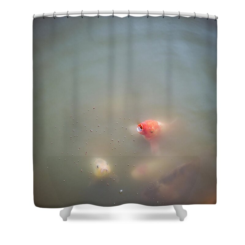 Chinese Culture Shower Curtain featuring the photograph Carp Feeding by Georgeclerk