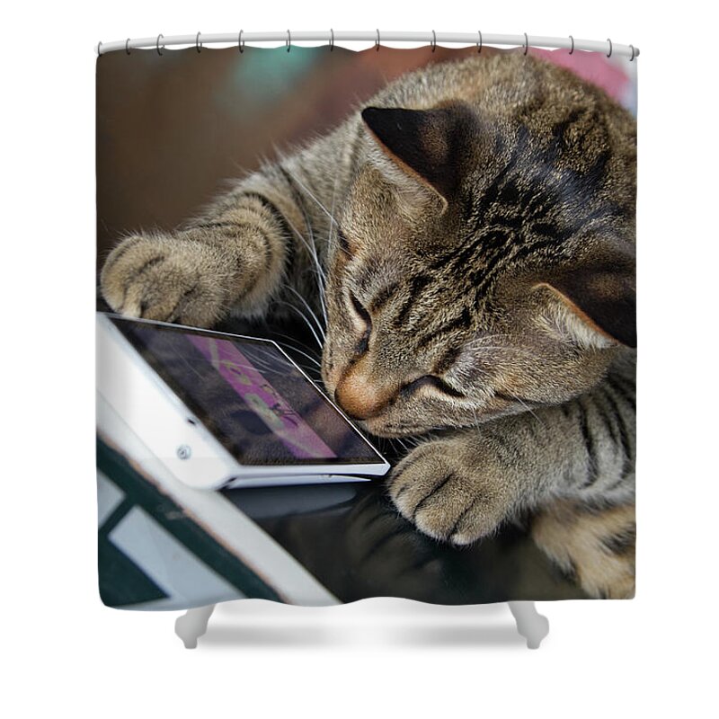 Pets Shower Curtain featuring the photograph Cat Touch The Smartphone by Naoto Shibata