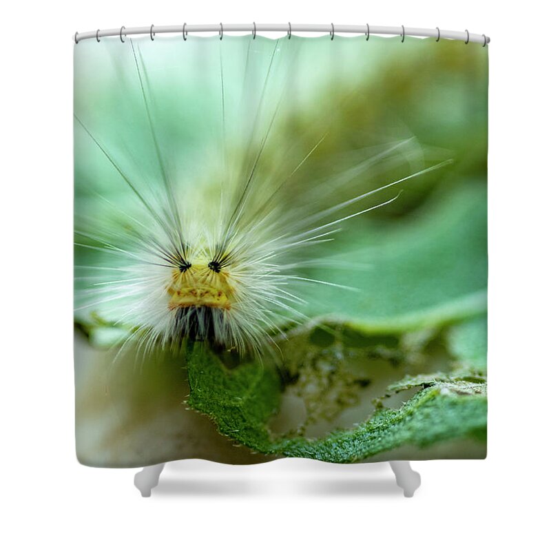 Macro Shower Curtain featuring the photograph Caterpillar Macro by Cathy Kovarik