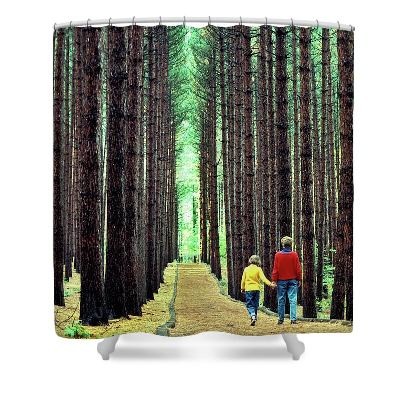 Pine Trees Shower Curtain featuring the photograph Cathedral in the Pines by Jerry Griffin