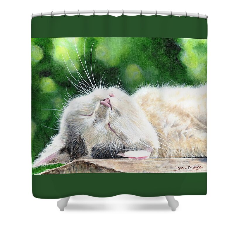 Cat Shower Curtain featuring the painting Catnap by John Neeve