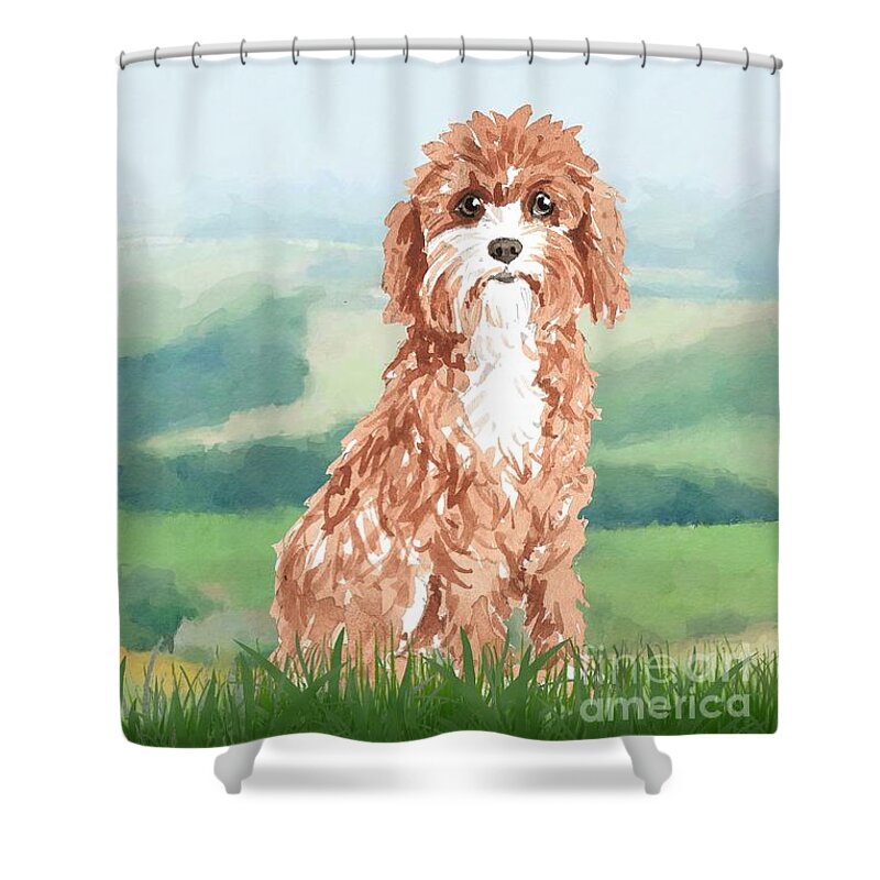 Dog Shower Curtain featuring the painting Cavapoo by John Edwards