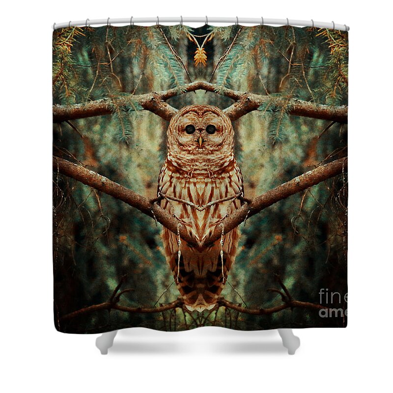 Barred Owl Shower Curtain featuring the photograph Center of the universe by Heather King